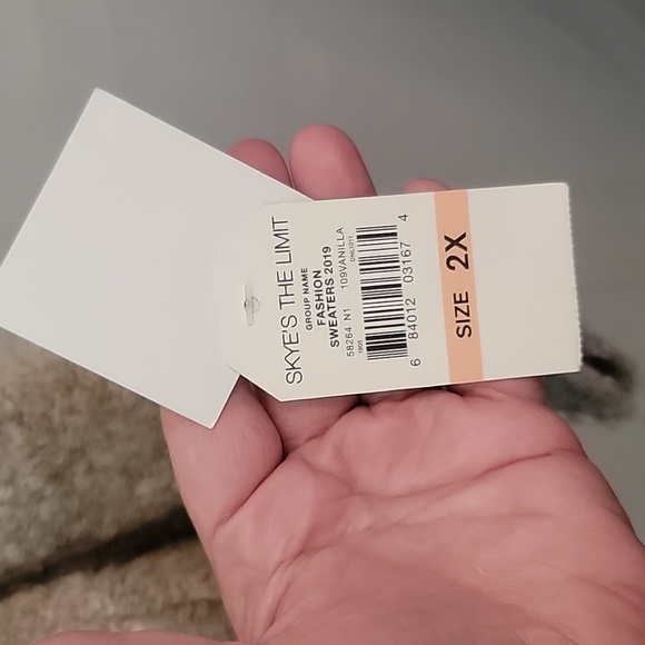 Skye's The Limit Colorblock Cowl Neckline Sweater NWT - Picture 6 of 7